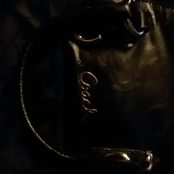 🐄 Coach Bag - Picture 2 of 3